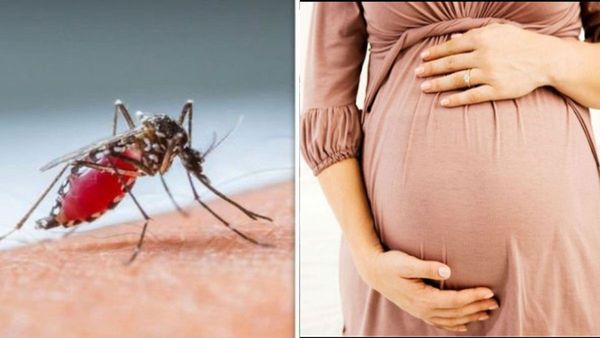 Dengue: పంజా విసురుతోన్న డెంగీ.. నాలుగు నెలల గర్భిణి మృతి..