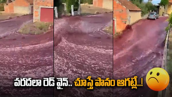 Viral Video: రెడ్ వైన్ వరద.. తాగొచ్చు.. స్నానం చెయ్యొచ్చు.. వైరల్ అయిన వీడియో..!