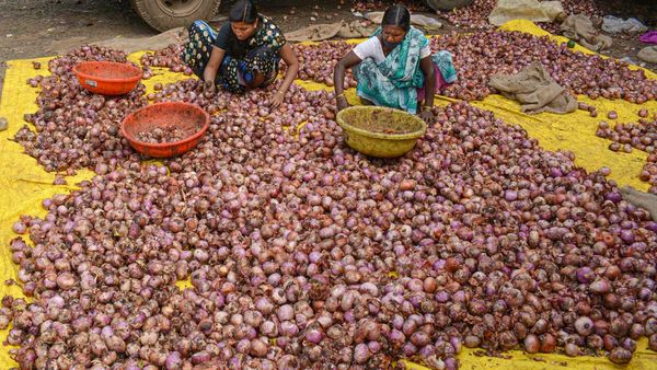 పండుగ వేళ ఉల్లి ధర మంట - మరింత పెరగనుందా..!!