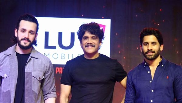 అక్కినేని ఫ్యామిలీలో కొత్త లవ్ స్టోరీ