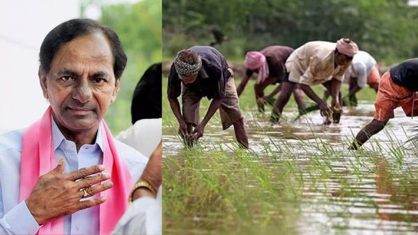 కేసీఆర్ పై పోటీలో తగ్గేదేలే.. కామారెడ్డి రైతులు, పౌల్ట్రీ రైతులు.. నామినేషన్లు ఎప్పుడంటే!!