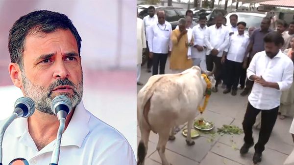 తెలంగాణా ఓటర్లకు రాహుల్ గాంధీ ఆసక్తికర సందేశం.. గోపూజలు చేసి ఓటేసిన రేవంత్ రెడ్డి!!