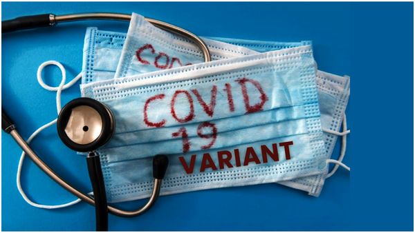 తెలంగాణ సహా ఈ 10 రాష్ట్రాల్లో విజృంభించిన కరోనా వైరస్: కొత్త ఏడాది వేడుకలపై ఆంక్షలు..?