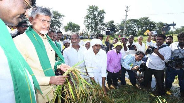 మిచౌంగ్ నష్టానికి సర్కార్ దే బాధ్యత-అప్రమత్తం చేయడంలో విఫలం-చంద్రబాబు ఫైర్