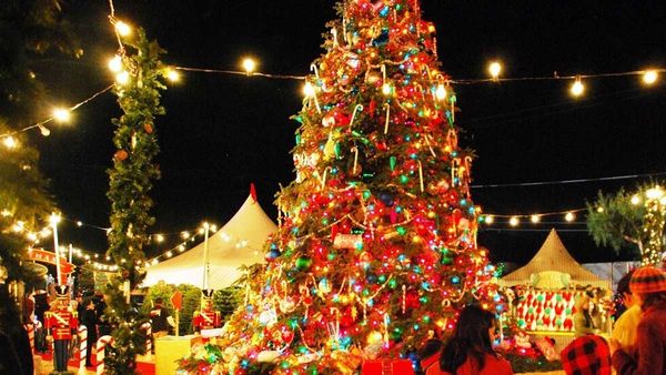 NRI News: తెలుగు అసోసియేషన్ ఆఫ్ లండన్ ఆధ్వర్యంలో క్రిస్‍మస్ వేడుకలు..