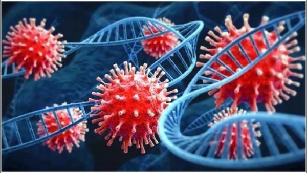 కేరళలో విజృంభిస్తున్న కరోనా మహమ్మారి: తెలంగాణలో కొత్త కేసులు ఎన్నంటే?