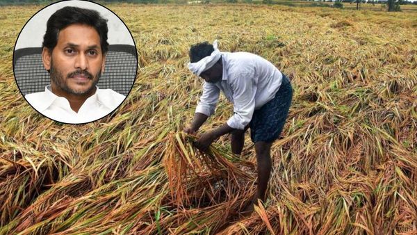 మిచౌంగ్ తుఫాను బాధిత రైతులకు, ప్రజలకు సీఎం జగన్ భరోసా.. అధికారులకు ఆదేశాలు!!