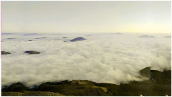 మంచు కురిసే వేళలో.. అరకు అందాలు; పోటెత్తిన పర్యాటకులు!!