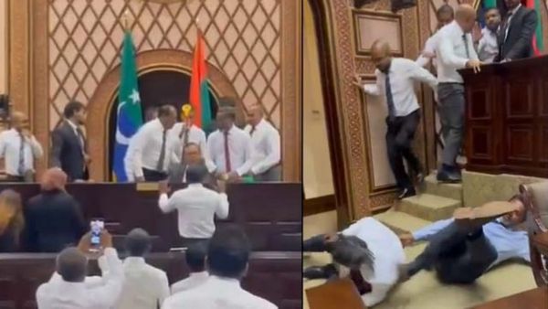 పార్లమెంటా? కుస్తీలు పడే రింగా?: కొట్టుకున్న ఎంపీలు (వీడియో)