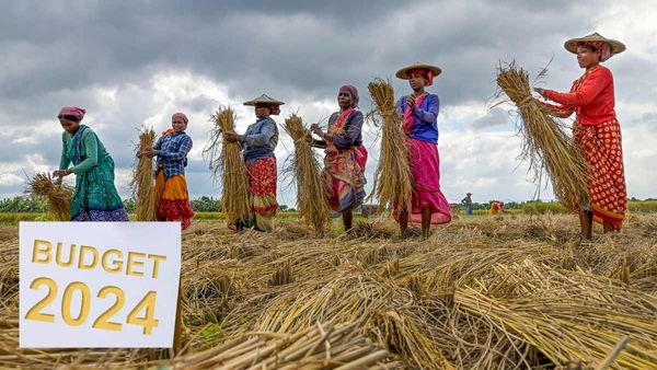 Budget 2024: రైతులకు శుభవార్త.. రుణాల పరిమితి, సబ్సిడీ, పీఎం కిసాన్ నిధుల పెంపు..!