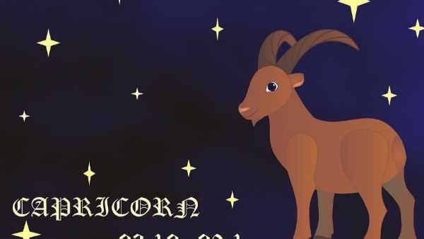 Astrology: మకరరాశి వార్షిక జాతకం:  2024లో డబ్బు వర్షం!!