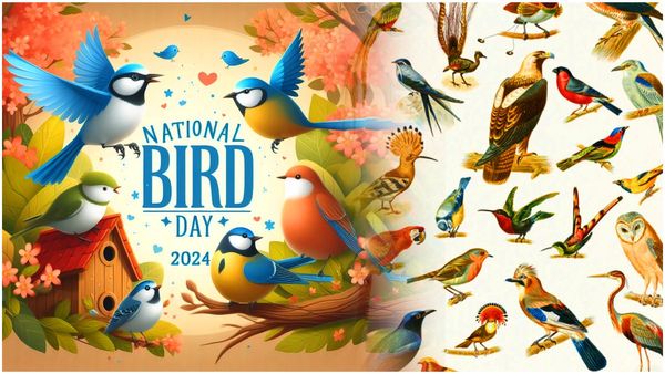 National Bird Day 2022: బుల్లి పిట్ట‌.. బుజ్జి పిట్ట జాడేది..
