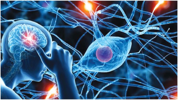 health tips: నరాల జబ్బులు.. ఆహారాలు.. ఇంటి చిట్కాలు!!