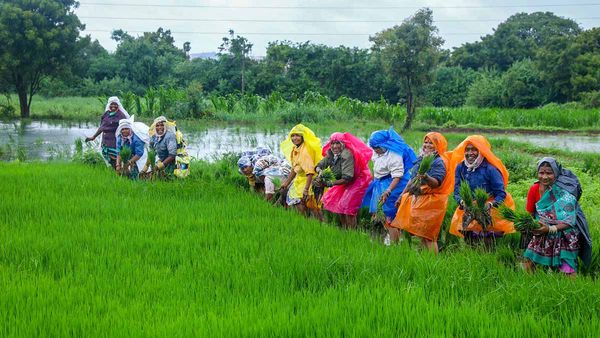 Telangana: రైతులకు శుభవార్త.. వచ్చే మూడు రోజులు వర్షాలు..!