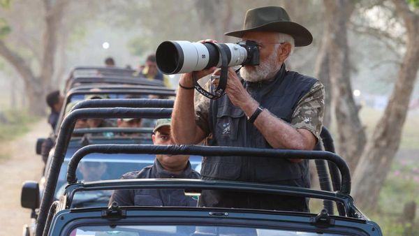 PM Modi Elephant Safari: ఏనుగుపై మోడీ సఫారీ-కజిరంగా జాతీయ పార్కులో..