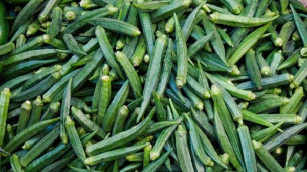 Health tips: ఆరోగ్యానికి, అందానికి.. బెండకాయలతో బోలెడు ప్రయోజనాలు!!