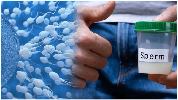 Sperm Count: మగవారికి డెంజర్ బెల్స్.. భారీగా తగ్గుతోన్న స్పెర్మ్ కౌంట్..