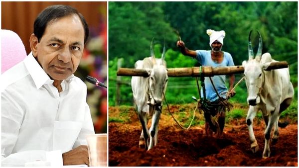 10వేల మందితో మేడిగడ్డ ముట్టడికి ముహూర్తం ఫిక్స్; రైతులకు కేసీఆర్ పిలుపు!!