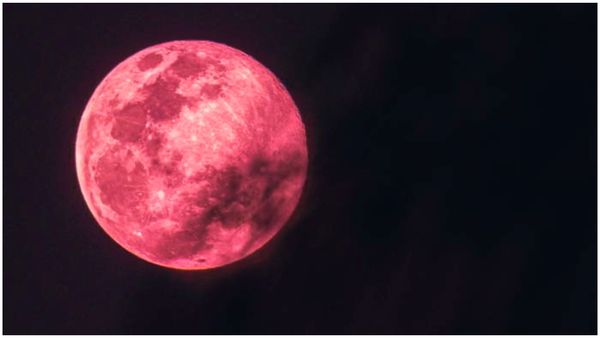 Pink Full Moon 2024: నేటి రాత్రి నుంచే పింక్ ఫుల్ మూన్, ప్రత్యేకత ఏమిటంటే?