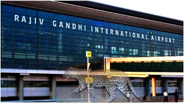 Hyderabad: శంషాబాద్ విమానాశ్రయంలో చిరుత కలకలం