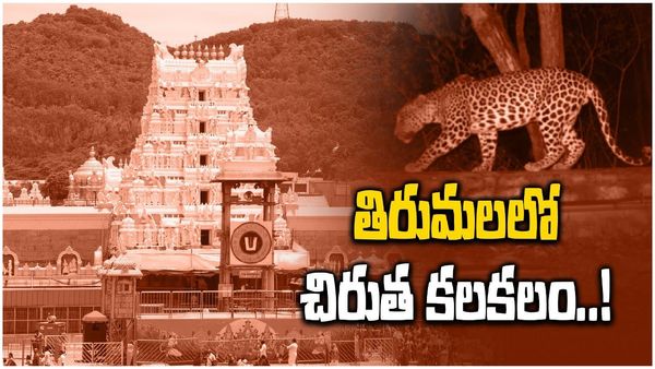 Tirumala: తిరుమలలో మరోసారి చిరుతల సంచారం..