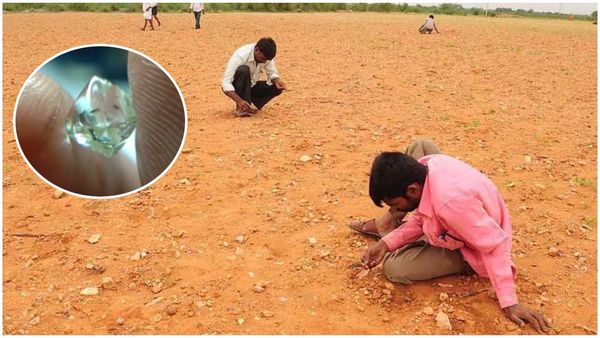 రైతు పొలంలో తళుక్కుమన్న వజ్రం.. పంట పండింది.. ఎంత ధర పలికిందంటే!!