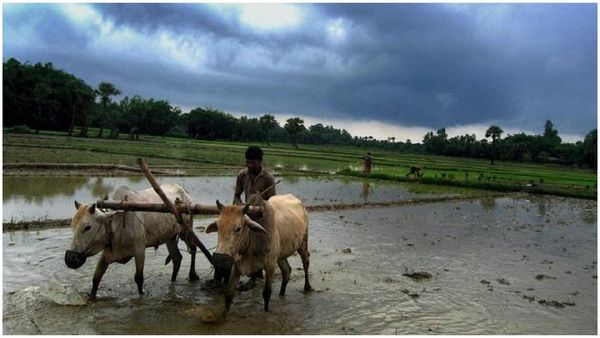 Monsoons: రైతులకు శుభవార్త.. మే 19న ఆగ్నేయ బంగాళాఖాతంలోకి రుతుపవనాలు..