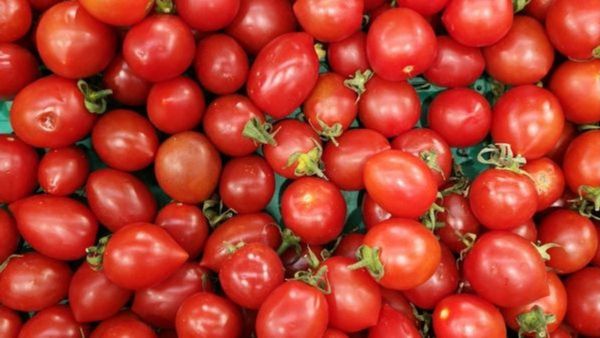 Tomato Health benefits: క్యాన్సర్ నుంచి చర్మ సంరక్షణ వరకు టమాటాతో ఆరోగ్య ప్రయోజనాలు..!