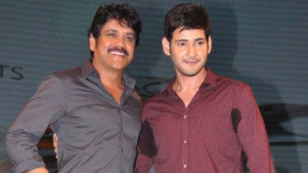 నాగార్జున, మహేష్ బాబు ఆ పార్టీకి మద్దతా?