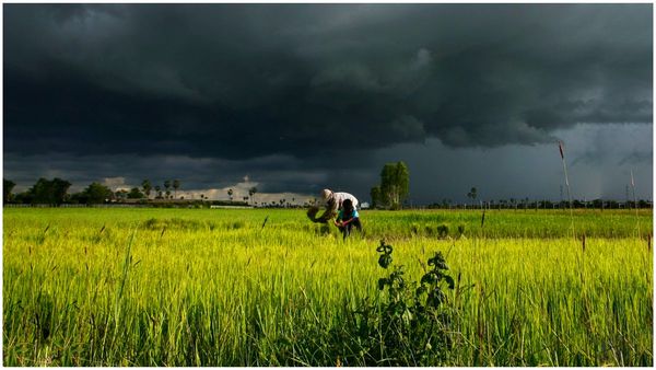 Monsoon Update: రైతులకు శుభవార్త.. ఈసారి మంచి వర్షాలే..!
