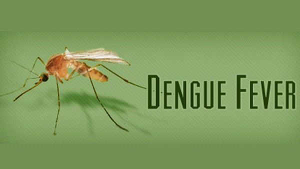 Hyderabad: హైదరాబాద్ లో పెరుగుతోన్న డెంగీ కేసులు..