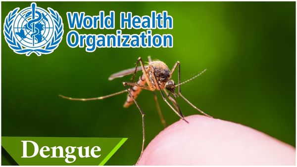 Dengue: డెంగ్యూపై రాష్ట్రాన్ని హెచ్చరించిన డబ్ల్యూహెచ్​వో..
