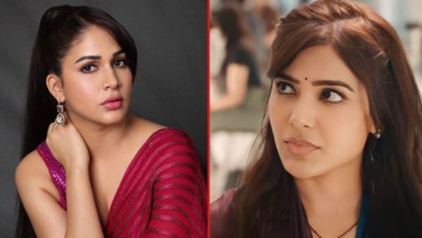పెళ్లి తర్వాత సమంతలా మారిపోయిన లావణ్య త్రిపాఠి జీవితం..?
