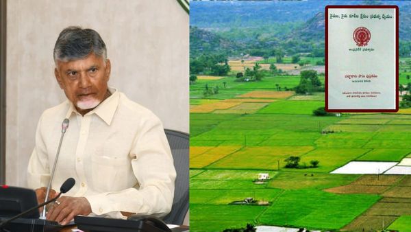 AP Pattadar Passbooks: పట్టాదారు పాస్ పుస్తకాలపై చంద్రబాబు కీలక నిర్ణయం ! ఇకపై ఇలా..!
