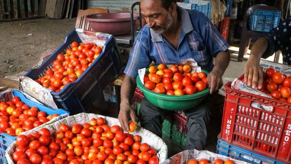 Tomato Price: కిలో రూ.100 లకు చేరిన టమాటా..!