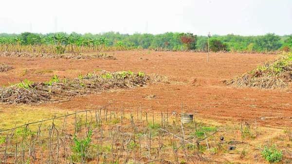34 మంది తహసిల్దార్ల బదిలీలను నిలిపేసిన ఒక్క అగ్గిపుల్ల, దేవుడా....ఎంత పని జరిగింది 