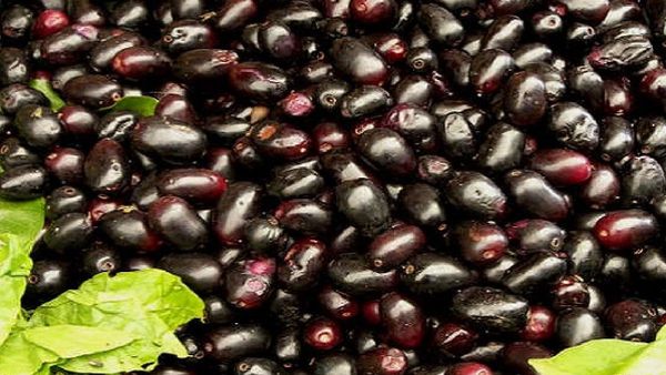 నేరేడు పండ్లు తింటున్నారా? అయితే ఈ జాగ్రత్తలు మర్చిపోవద్దు!!