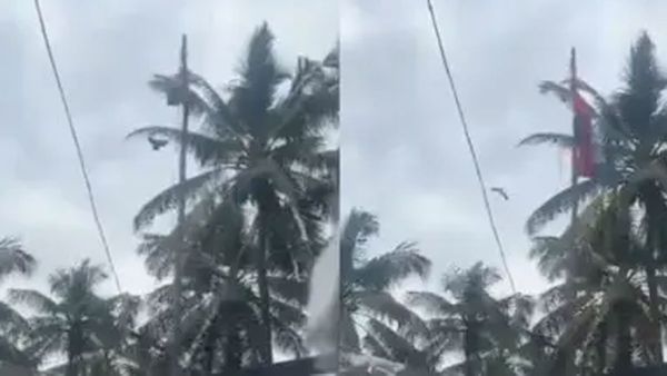 Viral Video: ఓ పక్షి జాతీయ పతాకాన్ని ఎగురవేసిందంటే నమ్మొచ్చా- 25 సెకెండ్ల అద్భుతం