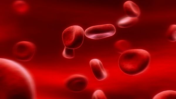 మన శరీరంలో ఎన్ని లీటర్ల రక్తం ఉంటుందో తెలుసా..?