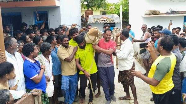 Viral Video: ఇంట్లో నక్కిన మొసలి..షాక్‌లో యజమాని..!