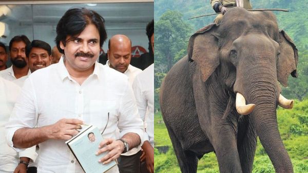 Kumki Elephants: కుమ్కీ ఏనుగుల కోసం బెంగళూరుకు పవన్! ఏంటీ వీటి ప్రత్యేకత?