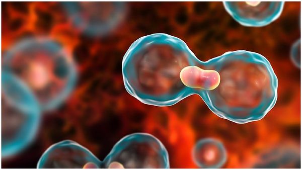 Health News: క్యాన్సర్ చికిత్స పరిశోధనల్లో గొప్ప బ్రేక్ త్రూ.. కేవలం గంటలోనే కణాల నాశనం