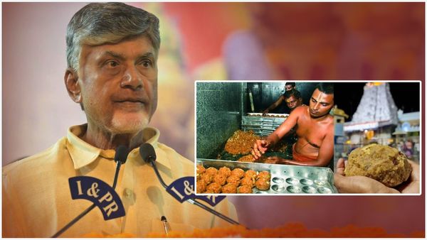 తిరుమల లడ్డు కల్తీపై వైసీపీ డిమాండ్.. చంద్రబాబు ఊహించని పరిణామం!
