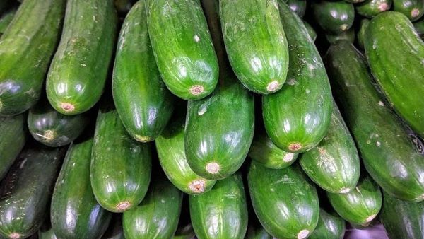 Cucumber Health benefits: కీరా దోసకాయ వల్ల ఎన్ని ప్రయోజనాలో తెలుసా?