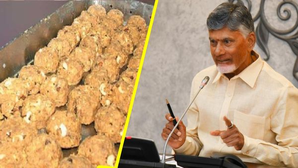 తిరుమల లడ్డూ కల్తీపై చంద్రబాబు కీలక నిర్ణయం