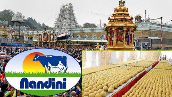 తిరుమల లడ్డూల పవిత్రత పునరుద్ధరణ: ఇక టీటీడీకి నందిని నెయ్యి