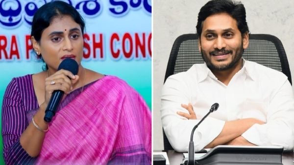 ప్యాలెస్ లో ఉండే పెద్ద చేపను లాగండి, అన్నకు వైఎస్ షర్మిల ఝలక్ 
