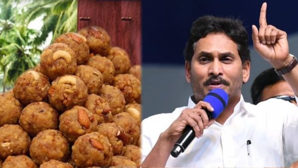 జగన్ కు ఆ ధైర్యం లేక చిన్నగా జారుకున్నాడు, అంతేగా, బీజేపీ మంత్రి 