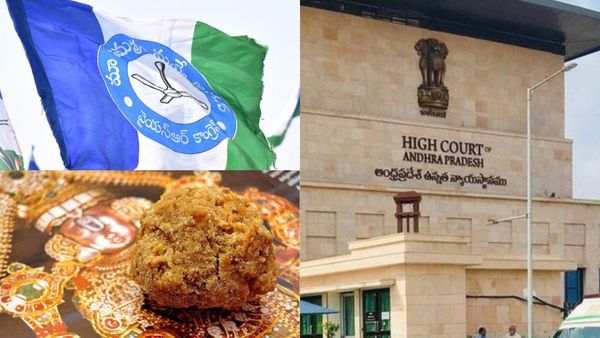 లడ్డూ వివాదంపై సీబీఐ విచారణ వేయండి - హైకోర్టులో వైసీపీ..!!