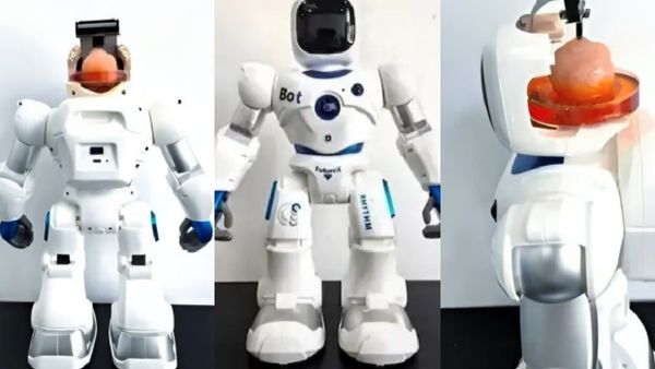 China News: పొరుగు దేశం చైనాలో రోబోల రాజ్యం.. ఆ రంగాన్ని శాసిస్తున్నది మనుషులు కాదు మరమనుషులు..
